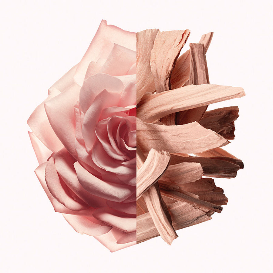 V4H423A9BBCDBA73855D51EB27AF6D251FAR5674696P4