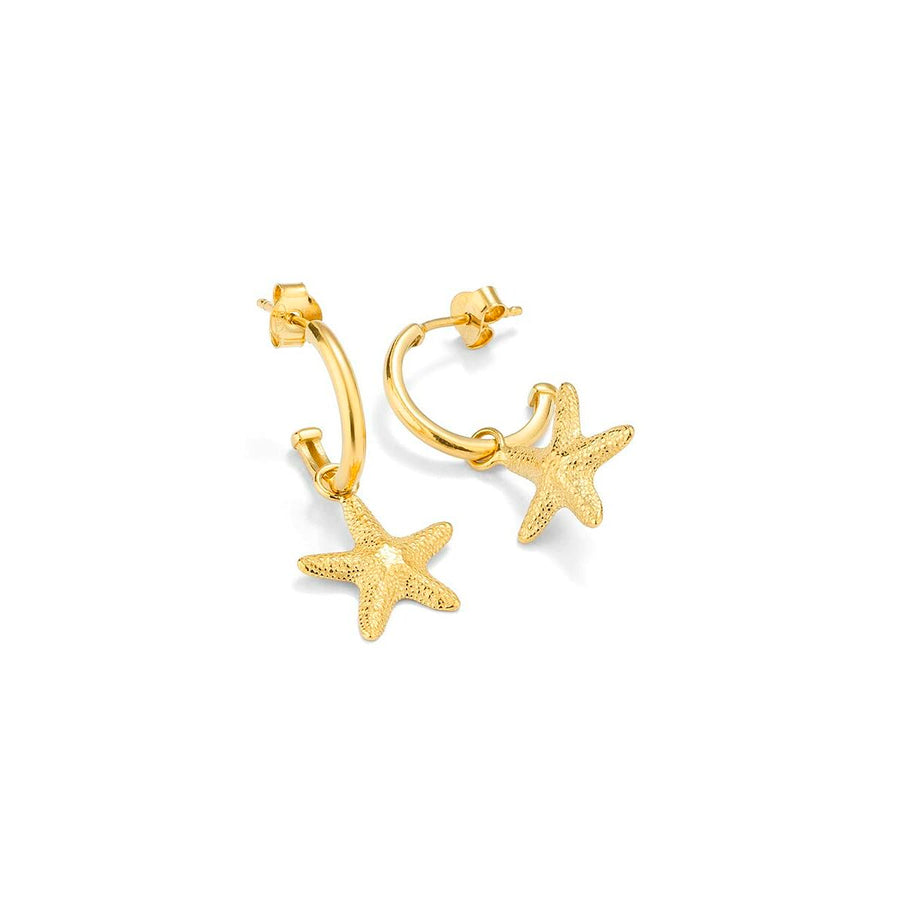 V5H6B6DA2AFBDEDB651D4D587A49E144BF6R4243699P2