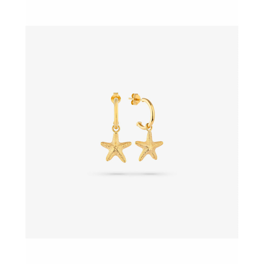 V5H44043B8DDD6714257EF762F7584806EAR4243707P4